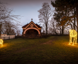 850_0524-topaz-denoise