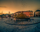 850_0558-Edit-2