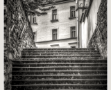 850_6233-Edit-4-Edit-topaz-denoise-ramecek