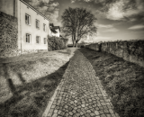 850_6515PS1-Edit-Edit-2