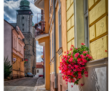 850_6809ramecek
