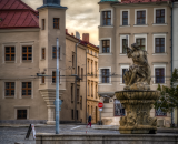 850_7480-Edit-Edit-Edit-topaz-denoise-faceai