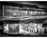 850_8895-Edit