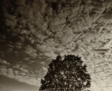 DSC_0014-Edit