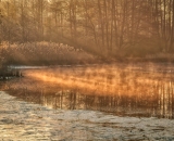 DSC_0264-standard-scale-4_00x-gigapixel-Edit-studio