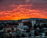 12. ledna 2014 - počasí jako na jaře, od začátku zimy ještě nenapadl sníh..