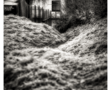 NEF_0947-Edit-Edit-Editramecek