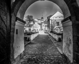 DSC_7538-Edit