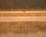 Rybář "na karamelu". Sigma 70-300 APO - ze břehu v kempu.
