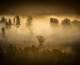 810_3159-topaz-sharpen