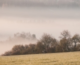 Ranní mlhy kousek za Kostelcem.