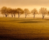 Ranní mlhy u Kostelce.