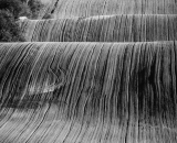 DSC_5483-Edit