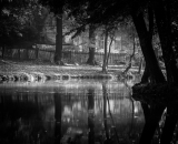 DSC_5580