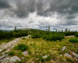 850_0179-Edit