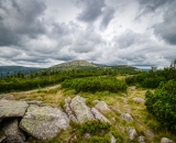850_0188-Edit