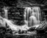 DSC_2262topaz-Edit-studio