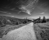 DSC_4693-Edit