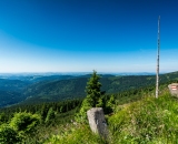 Z Medvědína na Labskou.. Bylo neskutečné vedro.. 22.7.2015, 10:38