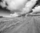 NEF_4734-Edit