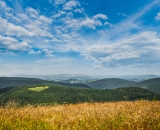 NEF_9823ps1
