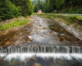 NEF_9869