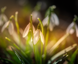 750_2537-Edit-2-Edit