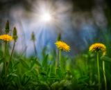 850_7713-Edit-Edit-2-Edit-Edit