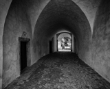 850_5038-Edit