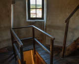 850_6923-topaz-denoise