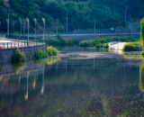 810_2703-Edit