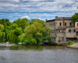 850_5055-Edit