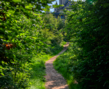 850_8564-Edit
