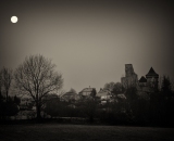 NEF_0781-Edit