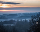 NEF_0782