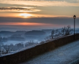 NEF_0795
