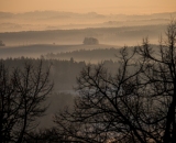 NEF_0803