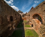 NEF_4384