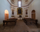 NEF_4616