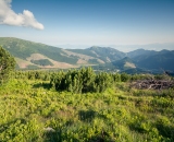DSC_0940