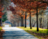 750_4910-Edit-Edit-Edit