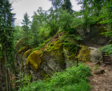 850_8519-Edit
