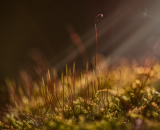 750_2322-Edit-Edit
