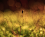 750_2328-Edit