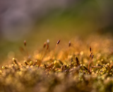 750_2364-Edit-2