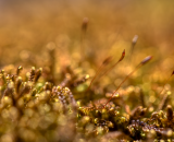 750_2369-Edit-2