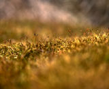 750_2385-Edit-2