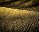 DSC_3005-Edit