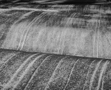 DSC_3019-Edit-Edit