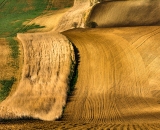 DSC_3086-Edit